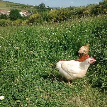 Casarao Dos Reis Villa Caravela Dış mekan fotoğraf
